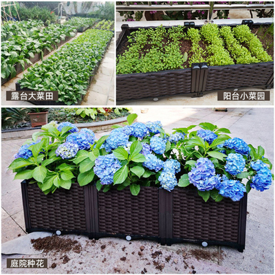 Hộp trồng hoa hộp nhựa dài 120cm
