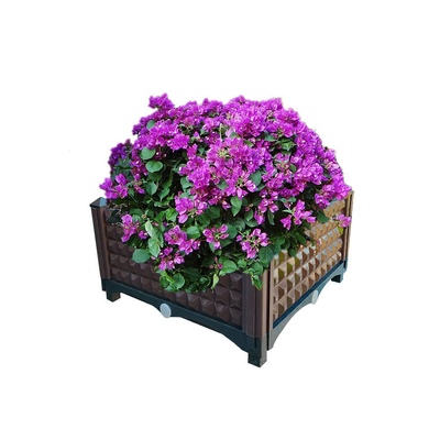 Chiều sâu bên trong Hộp trồng cây nâng cao 15cm bằng nhựa