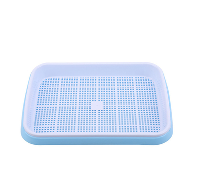 Khay nảy mầm đậu dài 31cm Hai khay Mầm không rò rỉ