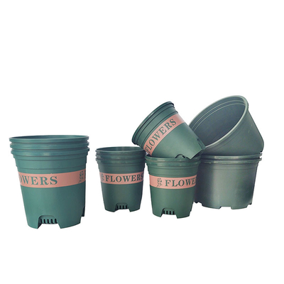 Chậu nhựa tròn hiện đại OEM Chậu nhựa tròn 9cm 11cm