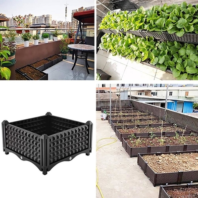 Hoa quả trồng cây nhựa trồng trên bánh xe Chống tia cực tím đa chức năng