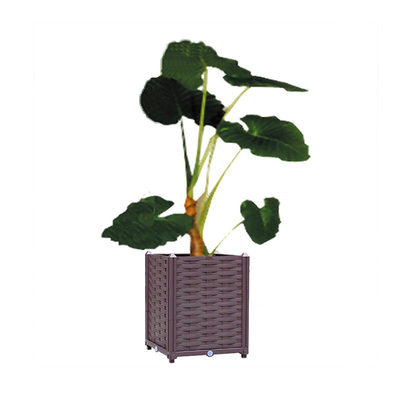 40 * 40 * 37cm Hộp trồng cây vuông bằng nhựa Hộp nhựa trồng rau Trọng lượng nhẹ