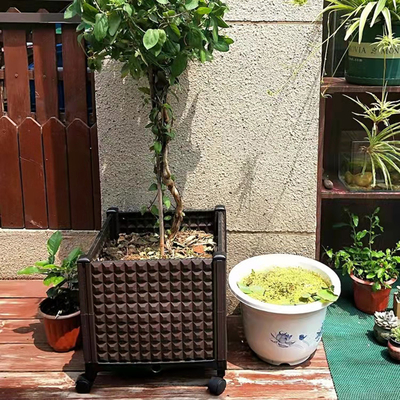 Tự tưới nước Hộp trồng cây hình chữ nhật nâng cao Hộp trồng hoa hộp nhựa đáng yêu