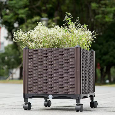 Tự tưới nước Hộp trồng cây hình chữ nhật nâng cao Hộp trồng hoa hộp nhựa đáng yêu