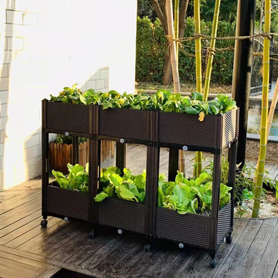 Bằng chứng côn trùng Bảo quản bằng nhựa Nâng cao giường trồng cây Hộp trồng cây thảo mộc trên bánh xe