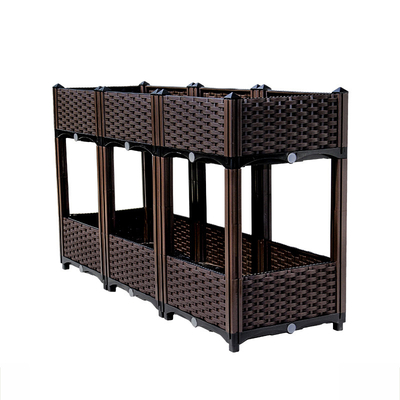 Sân sau Bằng chứng Bướm đêm Nhựa Sân vườn Nâng cao chất chống oxy hóa Người trồng rau Nhựa