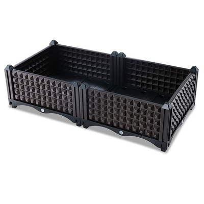 Hộp trồng cây làm vườn bằng nhựa không tráng cho quả việt quất chống oxy hóa