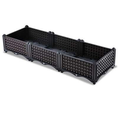 Hộp trồng cây làm vườn bằng nhựa không tráng cho quả việt quất chống oxy hóa