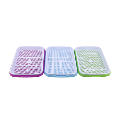 Khay trồng mầm bằng nhựa cao 11cm có thể phân hủy sinh học