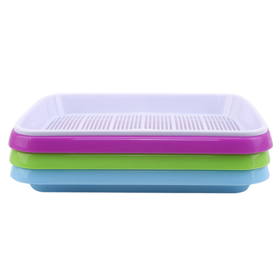Khay trồng mầm bằng nhựa cao 11cm có thể phân hủy sinh học
