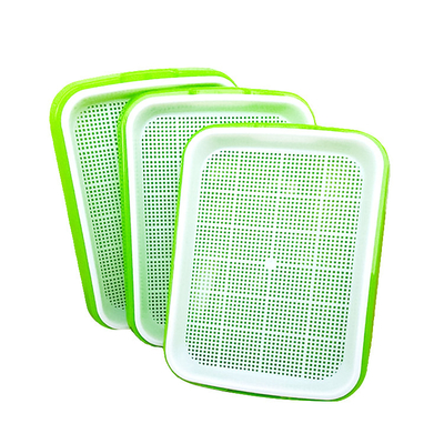 Khay trồng mầm bằng nhựa cao 11cm có thể phân hủy sinh học