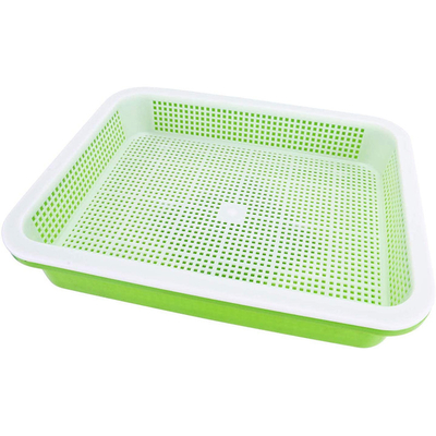Khay nảy mầm đậu dài 31cm Hai khay Mầm không rò rỉ