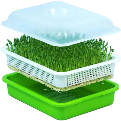 Khay ươm hạt giống Polypropylene trong nhà Thân thiện với môi trường