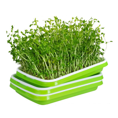 Khay nảy mầm PP Microgreen có thể tái chế có nắp đậy Sử dụng trong nhà bếp