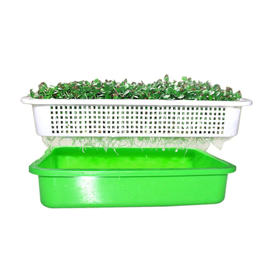 Khay nảy mầm thương mại chống ăn mòn Cao 4.3 inch Kích thước khác nhau