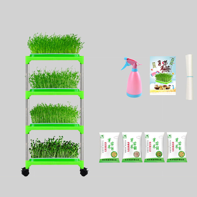 Khay ươm cây có tráng PE Giá đỡ Khay nảy mầm Đậu xanh Thân thiện với môi trường
