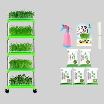 Khay ươm cây có tráng PE Giá đỡ Khay nảy mầm Đậu xanh Thân thiện với môi trường