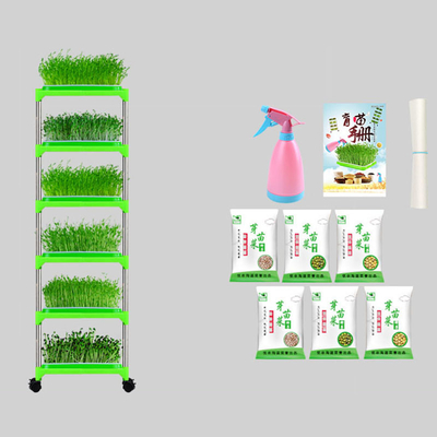 Khay ươm cây có tráng PE Giá đỡ Khay nảy mầm Đậu xanh Thân thiện với môi trường